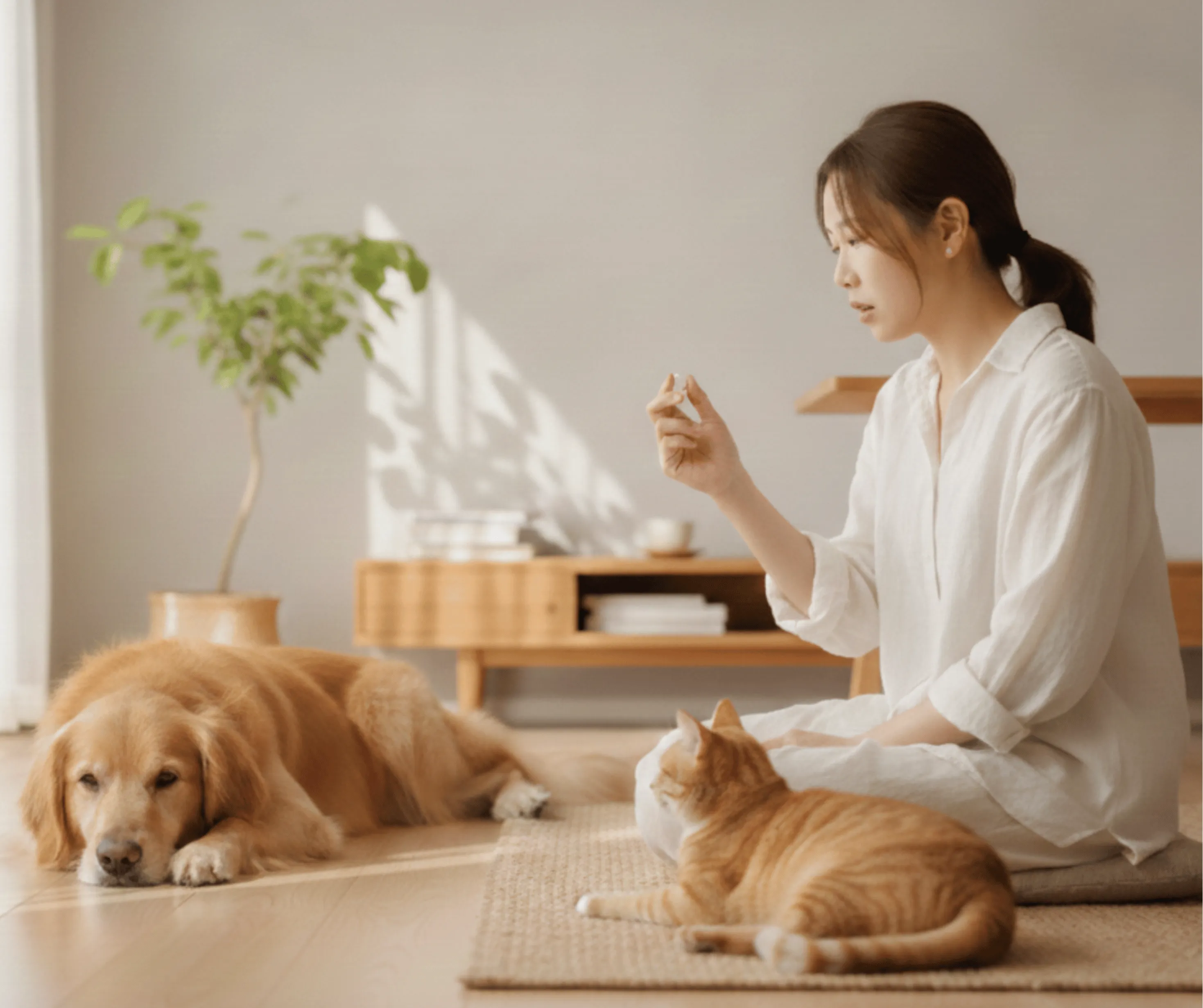 The Care Moment